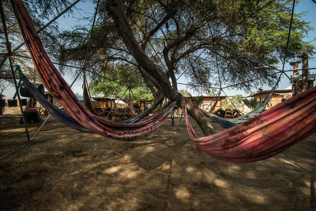 Shkedi'S Camplodge Neot HaKikar Exterior photo
