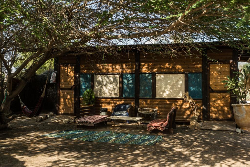 Shkedi'S Camplodge Neot HaKikar Room photo